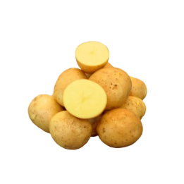 Слава