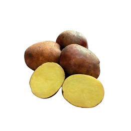 Соборна