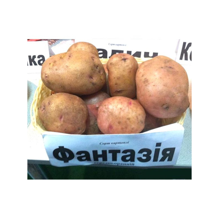 Фантазія