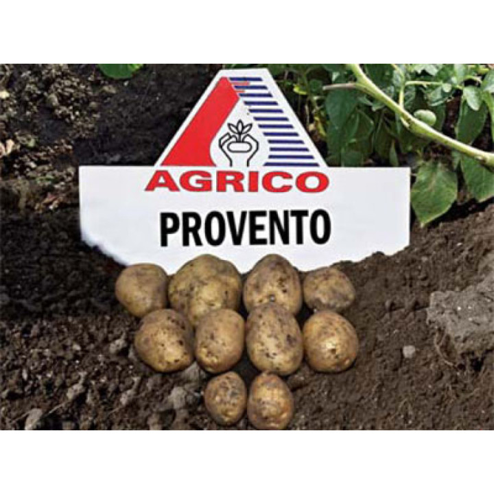Provento / Провенто