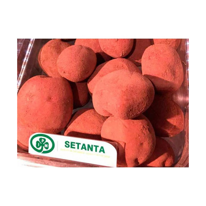 Setanta / Сетанта