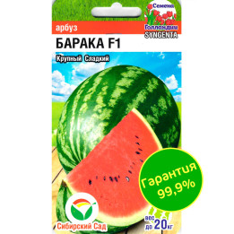 BARAKA / БАРАКА