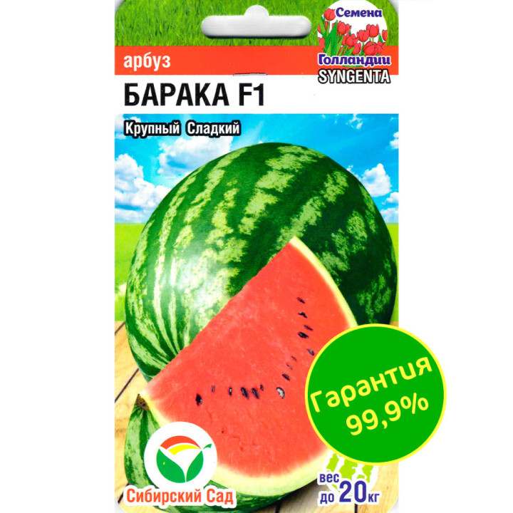 BARAKA / БАРАКА