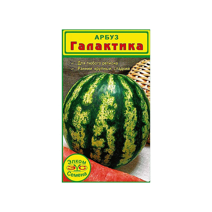 GALAKTIKA / ГАЛАКТИКА