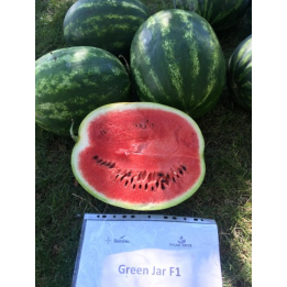 GREEN JAR / ГРІН ДЖАР