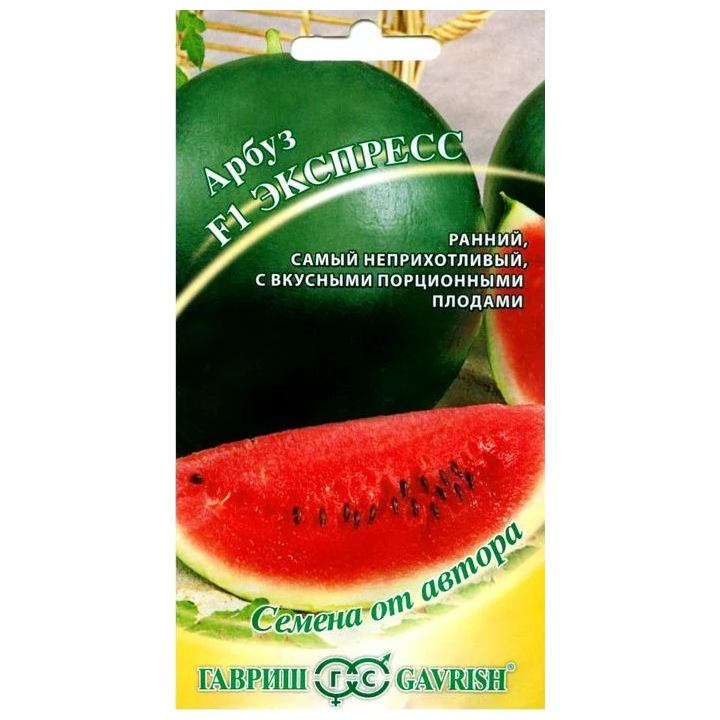 EXSPRESSION / ЕКСПРЕССІОН