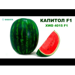 Kappa F1 / Капа F1