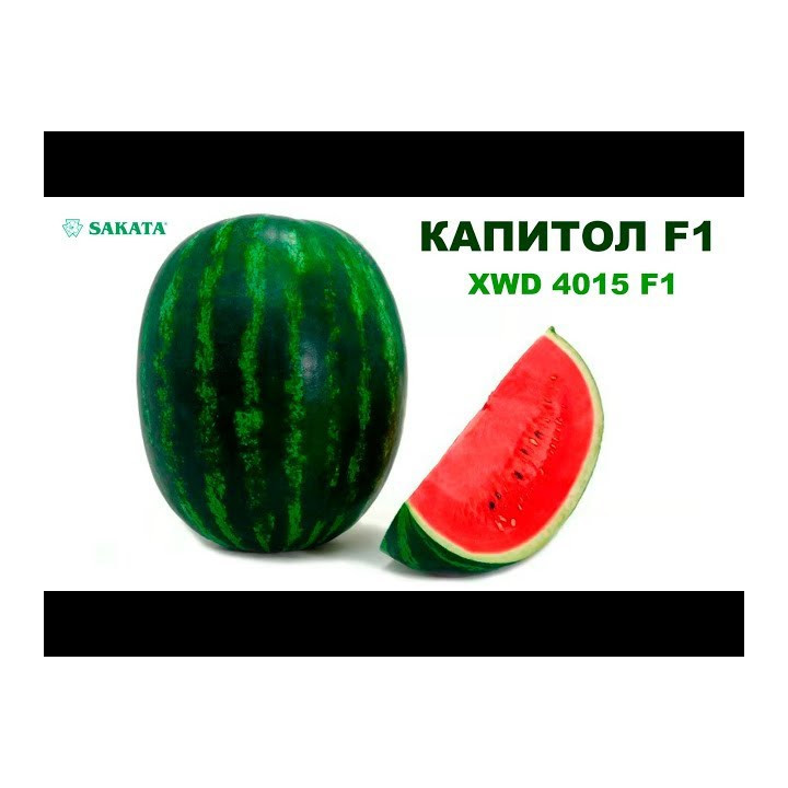 Kappa F1 / Капа F1