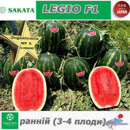 Legio / Леджіо