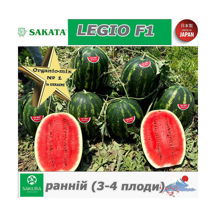 Legio / Леджіо