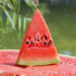 Marakesh / Маракеш