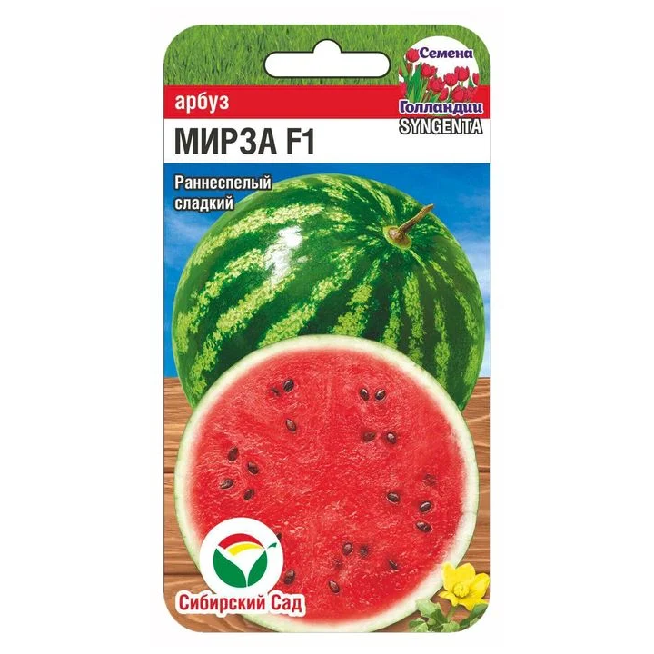 MIRZA / МІРЗА