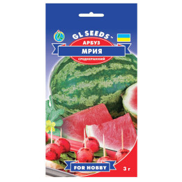 Мрія