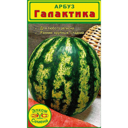 Galactica / Галактика