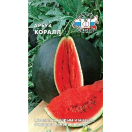 Coralzinho / Коралзіньу