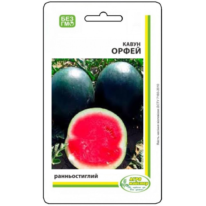 Орфей
