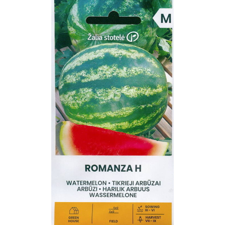 Romanza F1 / Романза F1