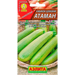 Атаман