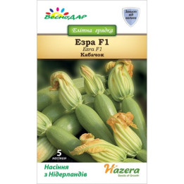 Ezra F1 / Езра F1