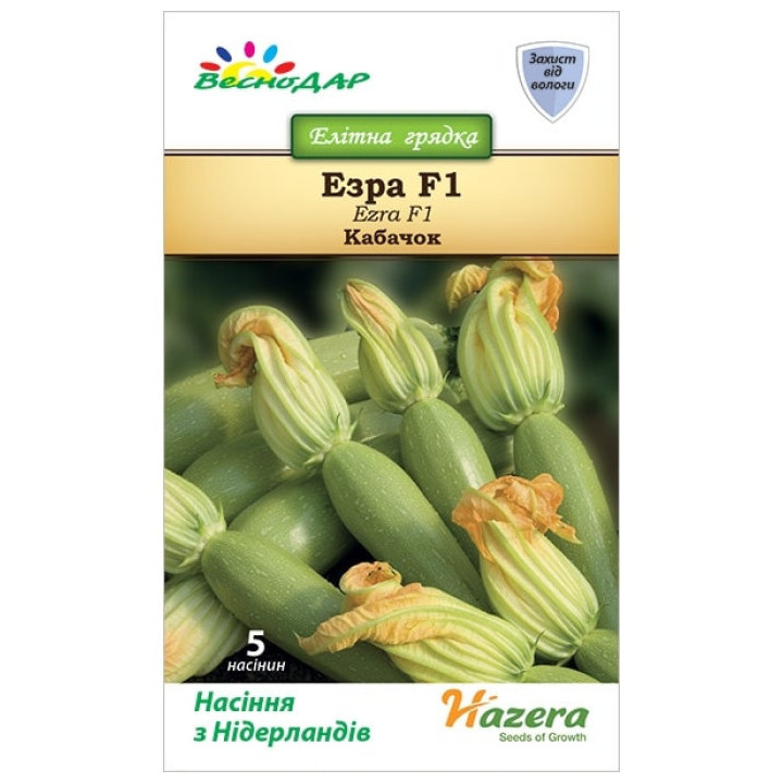 Ezra F1 / Езра F1