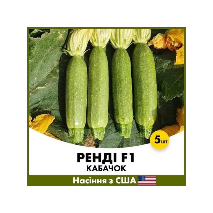 Rendy / Ренді