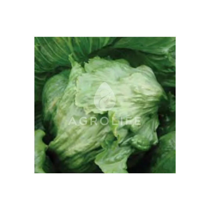 Maugli / Мауглі