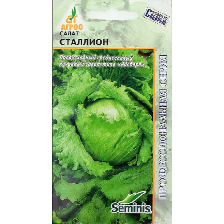 Stallion / Сталліон