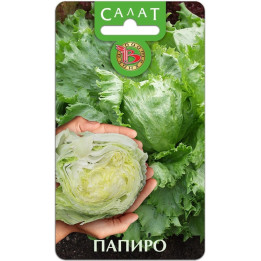 Papiro / Папіро