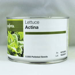 ACTINA / АКТІНА