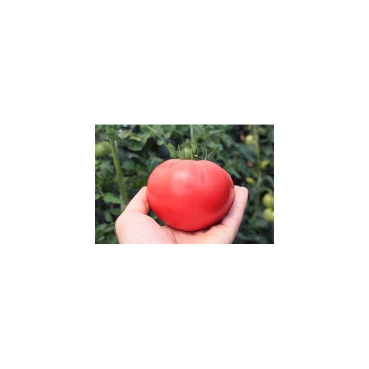 ТЕХ 2720 F1