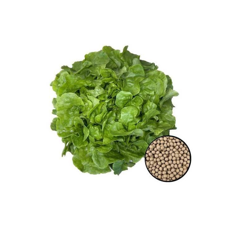 Дублянський