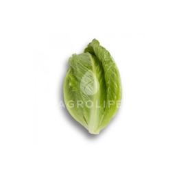 Crunchita / Крунчита