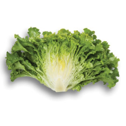 Partition / Патішн