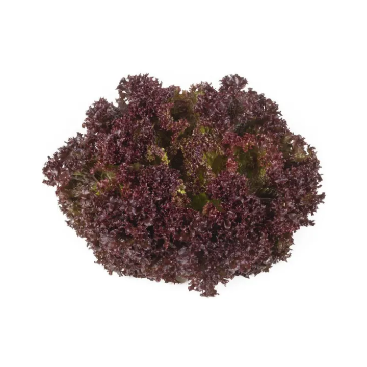 Samantine / Самантін