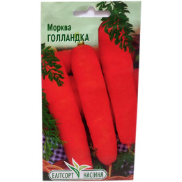 Gollandka / Голландка