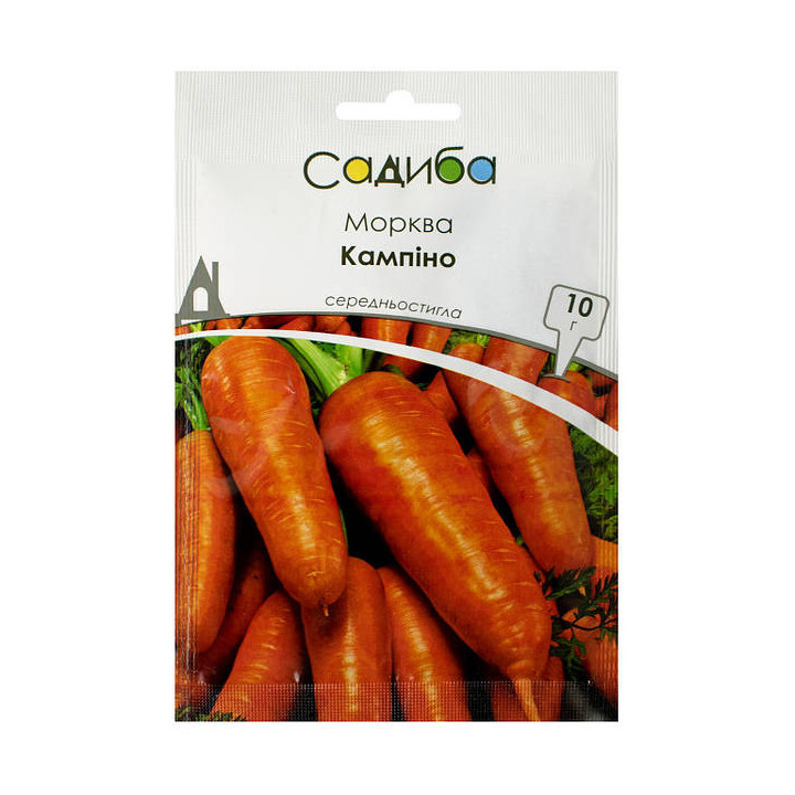 Kampino / Кампіно