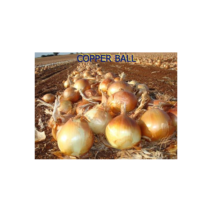 Коппер Бол F1 / Copper Ball F1