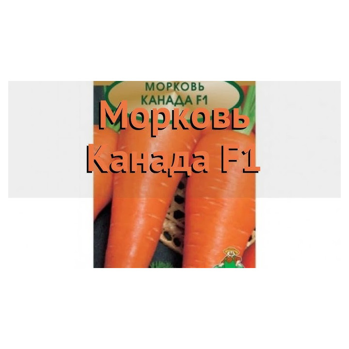 Купало F1