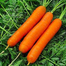Langesvyt Fruitful / Лангесвит Фрютфул