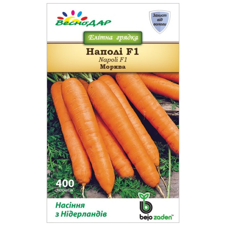 Наполи / Наполі F1