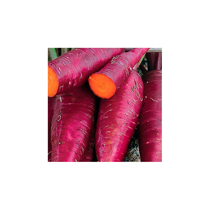 Purple Snax / Пурпл Снекс