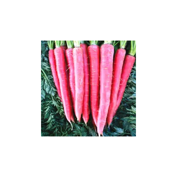 Rubyqueen / Рубіквін
