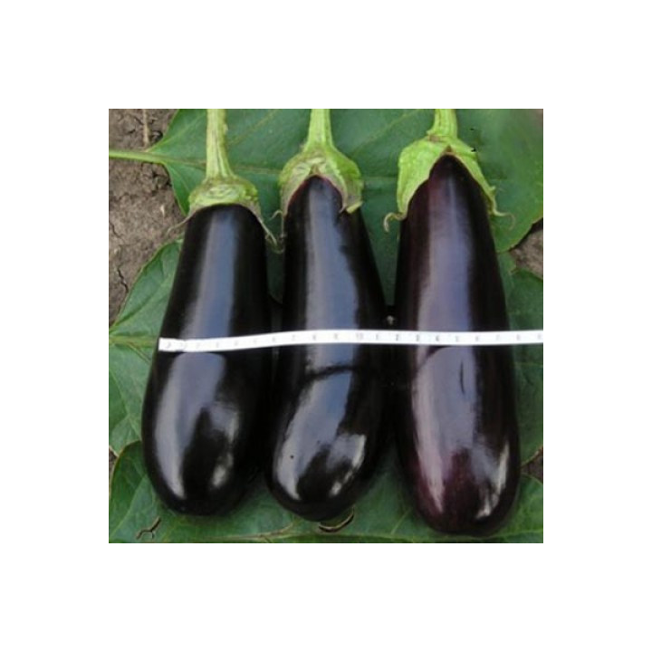 Kolombo / Коломбо