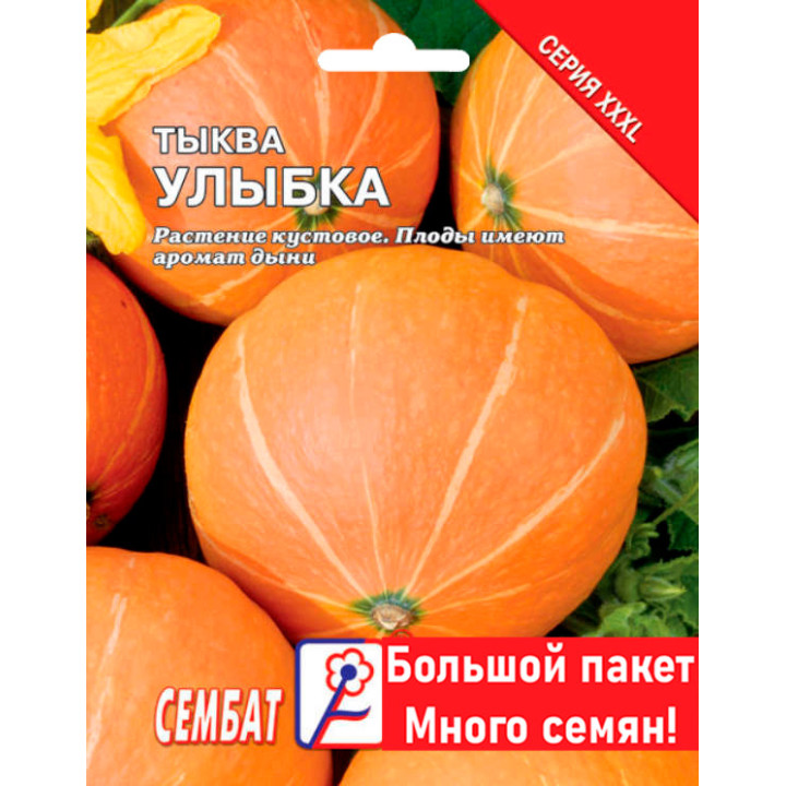 Ferro / Феро