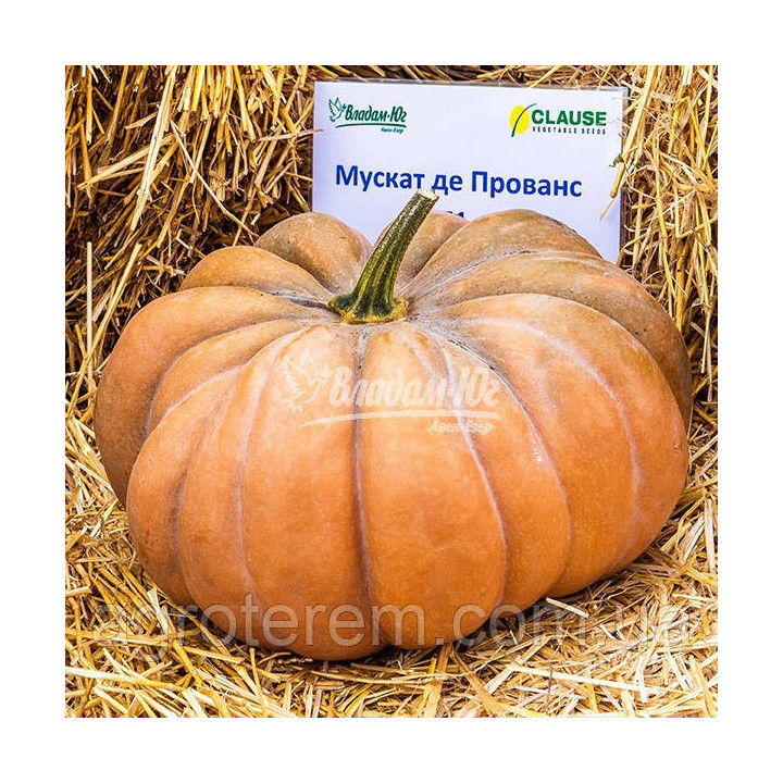 Musque De Provance / Мускат Де Прованс