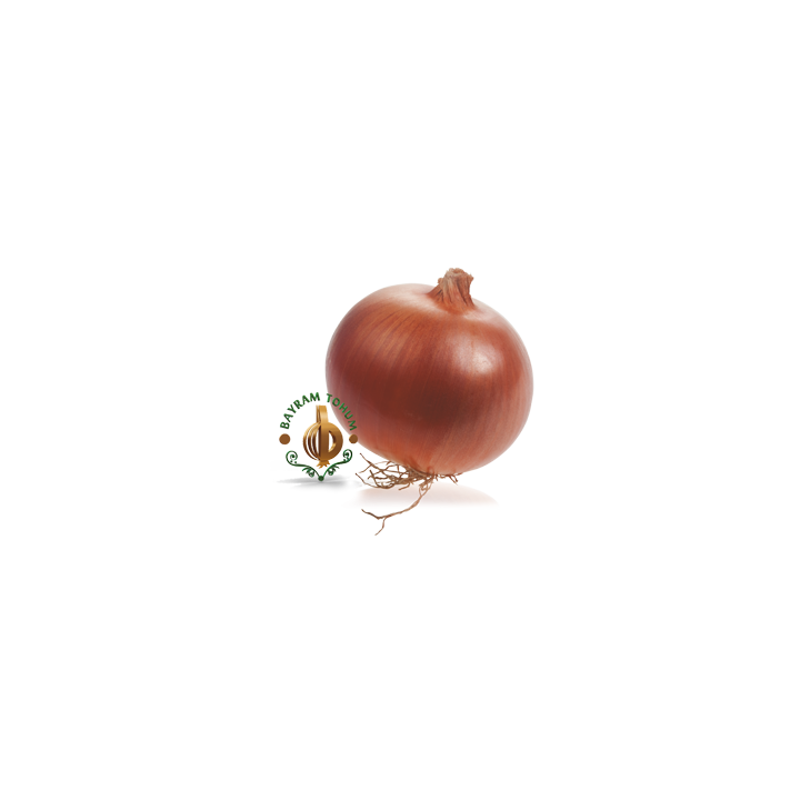 ДОРА / DORA