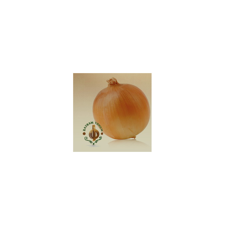 ОККЕШ / OKKES