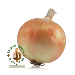 СИМА / SIMA