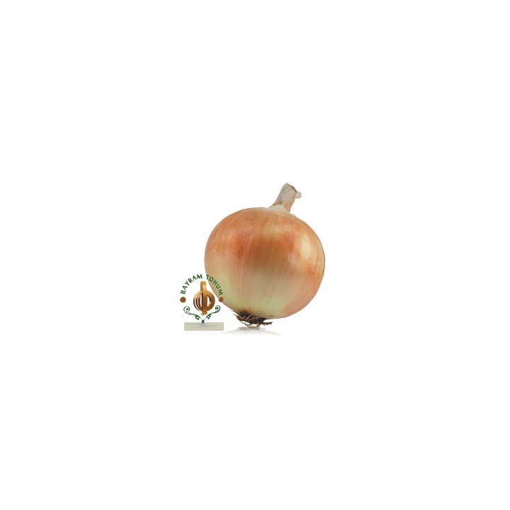 СИМА / SIMA