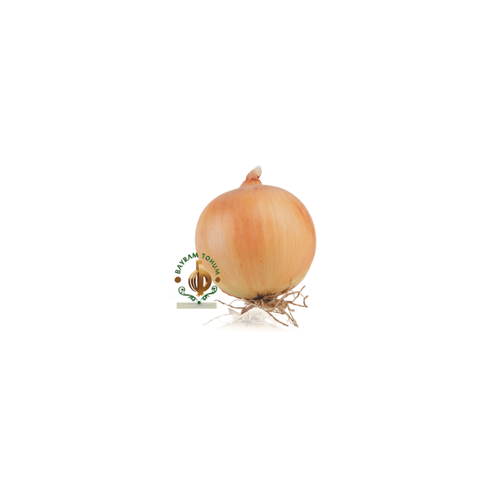 ГОРДИОН / GORDION